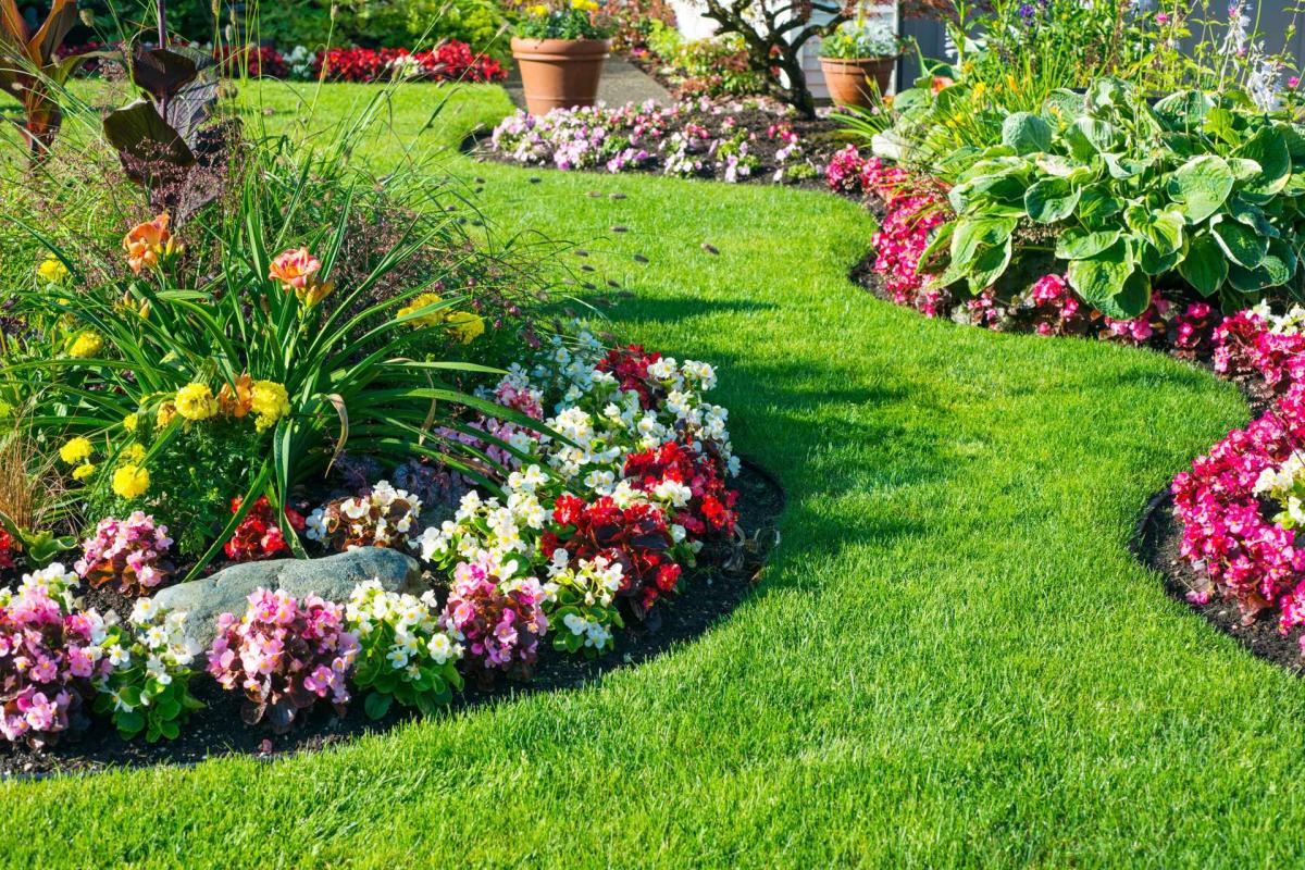 AMBIANCE JARDIN